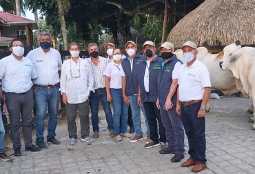 Este tipo de créditos se concentrará especialmente en 82 municipios del país, ubicados en los departamentos que tienen mayor actividad en ganadería. Foto: Cortesía sistemas silvopastoriles, Línea de crédito para sistemas silvopastoriles, ganadería sostenible en Colombia, nueva línea de crédito para financiar sistemas silvopastoriles, Centro de Investigación Turipaná de Agrosavia (Córdoba), ganadería Colombia, ganadería, noticias ganaderas, noticias ganaderas Colombia, contexto ganadero