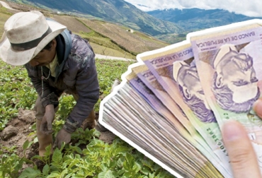 Los productores del campo siguen demostrando que son cumplidos con sus obligaciones crediticias según el balance entregado por el Banco Agrario. Foto: elcampesino.co - elnuevosiglo.com.co Banco Agrario, créditos, refinanciación, Pandemia, prórroga, productores, emergencia, Café, Aceite de palma, pagos, Superfinancier, Ganadería, ganadería colombia, noticias ganaderas colombia, CONtexto ganadero