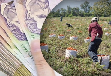 Con la aprobación de la reforma al sistema de regalías el sector agropecuario espera salir beneficiado con mayores inversiones en diversos frentes. Foto: revistaenfoque.com.co - finantechcolombia.com.co regalías, ley, Reforma, sector agropecuario, SAC, minhacienda, minenergia, Planeación Nacional, minerales, hidrocarburos, Vías terciarias, electrificación rural, conectividad, agua potable, saneamiento básico, Ganadería, ganadería colombia, noticias ganaderas colombia, CONtexto ganadero