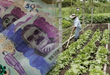 En más de $700 mil millones se incrementaría el presupuesto del sector agropecuario para 2021 si el Congreso aprueba las propuestas que al respecto se han hecho. Foto: Carlos Andrés Ruiz Palacio en Pixabay - minagricultura.gov.co presupuesto, sector agropecuario, Congreso de la República, ICA, sanidad agropecuaria, seguro agropecuario, crédito, línea especial de crédito, Mujer Rural, SAC, tasas de interés, exportaciones, diplomacia sanitaria, Ganadería, ganadería colombia, noticias ganaderas colombia, CONtexto ganadero