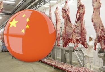 El sector privado (Fedegán-FEP, frigoríficos) y el sector público (ministerios, embajadas y entidades) han trabajado arduamente a pesar de la pandemia para lograr llevar carne colombiana a China. Foto: agriculturayganaderia.com carne colombia china, requisitos para exportar alimentos a china, diplomacia sanitaria Colombia, requisitos para exportar carne desde Colombia, requisitos para exportar carne a China, exportación de carne a China, requisitos para exportar a china desde Colombia, Colombia exporta carne de res, ganado bovino, ganadería bovina, Ganadería, ganadería colombia, noticias ganaderas, noticias ganaderas colombia, CONtexto ganadero, contextoganadero