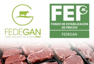 Fedegán-FEP esbozó un plan para abrir mercados en el corto y mediano plazo que incluye países como China, EE. UU. y Perú, entre muchos otros. Foto: actualidadganadera.com - Fedegán Admisibilidad carne Colombia, fedegan, FEP, Mercados exportación carne Colombia 2020, Exportación carne 2020, exportaciones carne 2020, exportación de bovinos Colombia, Ganadería, ganadería colombia, exportación carne bovina, carne vacuna, economía internacional, comercio internacional, total exportaciones carne Colombia, destinos carne Colombia, ganado bovino, ganadería bovina, noticias ganaderas, noticias ganaderas colombia, CONtexto ganadero, contextoganadero
