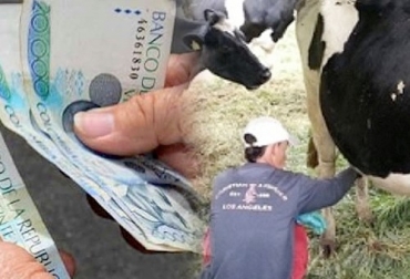 “La producción de leche cruda aumentó 9 % y no obstante, la industria ha dejado de comprarla”, sostuvo Oscar Cubillos. Foto: voces365.com - agronet.gov.co Industria aprovecha ventajas del mercado pero reduce el ingreso al productor, carta a vicepresidencia, pacto de crecimiento del sector lácteo, punto de convergencia, aumento de precios al consumidor, inflación acumulada, reducción de ingresos, aumento de producción, precio pagado al productor, reducción de precio, enlechada, inventarios, baja demanda, mayor importación, aumento de contingentes, verano, lluvias, precios internacionales a la baja, noticias de ganadería colombiana, CONtexto ganadero.