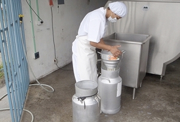 El pago al productor de leche alcanzó su punto más alto en mayo de este año, pero desde este mes ha venido bajando con cada nuevo reporte. Foto: marandua.com.co Acopio leche tercer trimestre 2020, acopio formal leche septiembre 2020, acopio leche tercer trimestre 2020 leche Colombia, compra leche, Acopio leche septiembre 2020 Colombia, producción leche, Acopio formal leche Colombia septiembre 2020, Acopio formal leche, recolección de leche en Colombia, producción leche Colombia 2020, precio leche cruda Colombia 2020, precio pagado al productor 2020, ganado bovino, Ganadería, ganadería colombia, noticias ganaderas, noticias ganaderas colombia, CONtexto ganadero, con