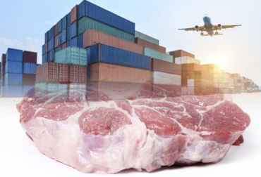 Más de 175 millones de dólares suman las exportaciones de carne bovina y animales en pie en 2020. Foto: Creado por Racool_studio / freepik.es - Creada por onlyyouqj - freepik.es Exportaciones carne tercer trimestre 2020, exportaciones carne Colombia septiembre 2020, exportaciones tercer trimestre 2020, exportaciones ganado bovino 2020, exportación de bovinos Colombia, exportación carne bovina, carne vacuna, economía internacional, comercio internacional, total exportaciones carne Colombia, exportaciones carne Colombia 2020, ganado bovino, Ganadería, ganadería colombia, ganaderos colombia, noticias ganaderas, noticias ganaderas colombia, CONtexto ganadero, contextoganadero