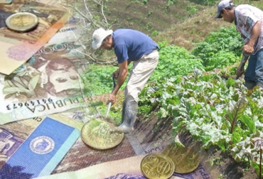 Aunque el presupuesto para el sector agropecuario aumentará para 2021 preocupa la reducción de recursos para temas como la sanidad y la inocuidad. Foto: confidencialcolombia.com - 2000agro.com.mx presupuesto, Minagricultura, ICA, aunap, adr, ANT, restitución de tierras, Congreso de la República, funcionamiento, Inversión, inclusión productiva, pequeños productores, infraestructura productiva, comercialización, mercados externos, sanidad agropecuaria, inocuidad, nuevos mercados, Ganadería, ganadería colombia, noticias ganaderas colombia, CONtexto ganadero.
