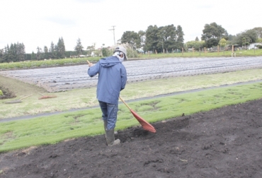 El ICA ofrece una serie de recomendaciones para que agricultores y ganaderos enfrenten la temporada de lluvias in sufrir mayores inconvenientes. Foto: ica.gov.co invierno, Lluvias, ICA, recomendaciones, cultivos, sector agropecuario, Hongos, humedad, plagas, vectores, movilización, enfermedades, productividad, Ganadería, ganadería colombia, noticias ganaderas colombia, CONtexto ganadero.