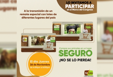 TVGan realizará un gran remate este jueves con ejemplares de diferentes razas y que se encuentran ubicados a lo largo de la geografía nacional. Foto: Cortesía remate, TVGAN, razas, animales comerciales, puros, Congreso Nacional de Ganaderos, Gyr, Girolando, brahman, Guzerá, Jerhol, jersey, Rojo Sueco, senepol, simbrah, Simmental, ovinos, Dorpel, transporte, intermediación, Ganadería, ganadería colombia, noticias ganaderas colombia, CONtexto ganadero