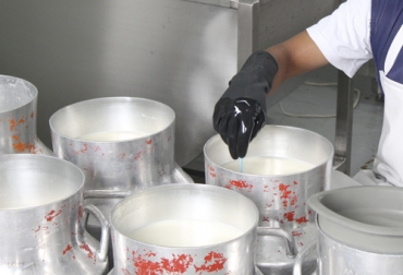 Si bien la compra formal de leche en 2020 ha sido mejor que la de 2019, el resultado de noviembre fue menor y evidencia que la industria disminuyó el acopio. Foto: reconciliacioncolombia.com acopio formal leche noviembre 2020, leche Colombia, compra leche, Acopio leche noviembre 2020 Colombia, producción leche, Acopio formal leche Colombia junio 2020, Acopio formal leche, recolección de leche en Colombia, producción leche Colombia 2020, precio leche cruda Colombia 2020, precio pagado al productor 2020, ganaderos, ganaderos colombia, ganado, bovinos, ganado bovino, Ganadería, ganadería colombia, noticias ganaderas, noticias ganaderas colombia, CONtexto ganadero, contextoganadero