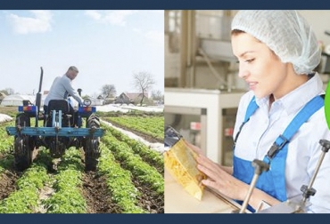Desde su creación en agosto de 2020, el ecosistema de Agroindustria y Alimentos de Econexia cuenta con cerca de 800 empresas vinculadas. En total, son más 3000 teniendo en cuenta los otros ecosistemas. Foto: revistaialimentos.com Econexia Corferias, econexia 2021, Econexia, oferta Econexia para el sector ganadero, Expo Agrofuturo 2021, Agroexpo 2021, capacitaciones ganaderos, Eventos ganaderos, econexia Colombia, ganadería Brasil, Rueda Virtual de Agronegocios, Corferias, Cámara de Comercio de Bogotá, ganaderos, ganaderos colombia, ganado, bovinos, ganado bovino, Ganadería, ganadería colombia, noticias ganaderas, noticias ganaderas colombia, CONtexto ganadero, contextoganadero