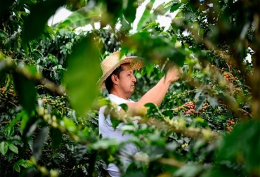 El año anterior fueron desembolsados $1,02 billones vía crédito. Foto: Ministerio de Agricultura. Ganadería, ganadería colombia, noticias ganaderas, noticias ganaderas colombia, CONtexto ganadero, Banco Agrario, créditos banco agrario, balance banco agrario 2020, Francisco Mejía, presidente del Banco Agrario
