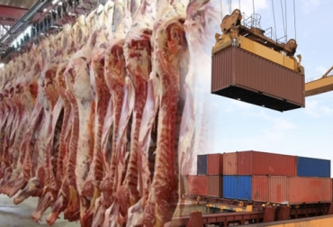 La exportación de carne bovina en 2020 tuvo su mejor comportamiento de los últimos años. Foto: inventariandochina.wordpress.com - freepik.com / jcomp Exportaciones carne noviembre 2020, exportaciones carne Colombia noviembre 2020, exportaciones 2020, exportaciones ganado bovino 2020, exportación de bovinos Colombia, exportación carne bovina, carne vacuna, economía internacional, comercio internacional, total exportaciones carne Colombia, exportaciones carne Colombia 2020, ganaderos, ganaderos colombia, ganado, bovinos, ganado bovino, Ganadería, ganadería colombia, noticias ganaderas, noticias ganaderas colombia, CONtexto ganadero, contextoganadero