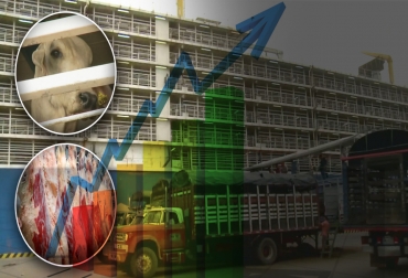 Foto: Captura de pantalla del video https://www.youtube.com/watch?v=Cmv5WUcLIWY del canal de youtube Instituto Colombiano Agropecuario - Fedegán - CONtextoganadero.com exportaciones de carne 2020, exportaciones carne, exportaciones carne Colombia 2020, Exportación carne 2020, exportaciones carne diciembre 2020, exportación de bovinos Colombia, Ganadería, ganadería colombia, exportación carne bovina, carne vacuna, economía internacional, comercio internacional, total exportaciones carne Colombia, ganaderos, ganaderos colombia, ganado, bovinos, ganado bovino, noticias ganaderas, noticias ganaderas colombia, CONtexto ganadero, contextoganadero