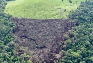 Los recursos se podrán invertir para mejorar la sostenibilidad de los sistemas de producción agropecuarias, piscícolas, apícolas, avícolas, forestales, acuícolas, de zoocría y pesqueras. Foto: elcolombiano.com
