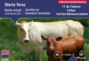 Por medio de una capacitación previa a la venta de pajillas, ABS Colombia y Almagán buscan apoyar a los ganaderos en su compra. Foto: Cortesía ABS, Almagán, venta virtual, pajillas, toros, capacitación, whatsapp, inseminación, embriones, silvopastoriles, genética, biomas, ganadería, ganadería Colombia, noticias ganaderas Colombia, contexto ganadero