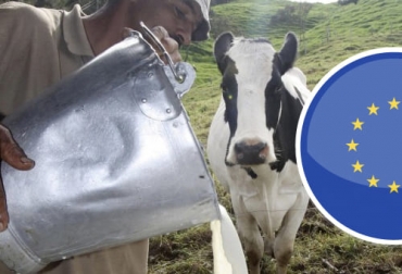 Gracias al aporte de la Unión Europea, se han podido implementar estas poíticas para beneficiar al sector lechero, con varios aciertos pero todavía falta alcanzar muchos objetivos. Foto: El Colombiano - iconarchive.com Conpes lácteo balance 2010-2018, conpes sector lechero, conpes apoyo Unión Europea, apoyo presupuestario Unión Europea Colombia, CNL 2021, conpes lácteo colombia, Conpes Lácteo, conpes lácteo Unión Europea, conpes lácteo noticias, conpes lácteo fedegán, conpes lácteo lafaurie, ganaderos, ganaderos colombia, ganado, bovinos, ganado bovino, Ganadería, ganadería colombia, noticias ganaderas, noticias ganaderas colombia, CONtexto ganadero, contextoganadero