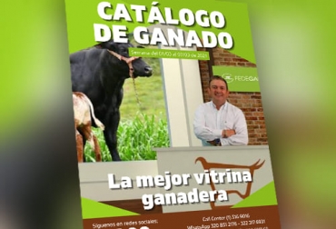 Cada semana TVGan ofrecerá el catálogo de ganado que está para la venta en diferentes regiones de Colombia. Foto: Cortesía TVGAN, catálogo, ganaderías, fotos, razas, precios, comercialización, Ganadería, ganadería colombia, noticias ganaderas colombia, CONtexto ganadero
