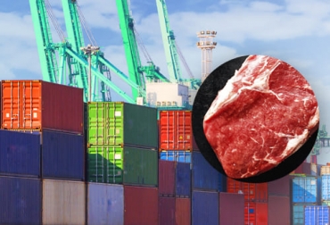 Solo en el primer mes del año, las exportaciones de carne fueron 3300 t, en tanto que se enviaron más de 25 000 animales. Foto: freepik.es/dashu83 - valeria_aksakova exportaciones de carne 2021, exportaciones carne, exportaciones carne Colombia 2021, Exportación carne 2021, exportaciones carne enero 2021, exportación de bovinos Colombia, Ganadería, ganadería colombia, exportación carne bovina, carne vacuna, economía internacional, comercio internacional, total exportaciones carne Colombia, ganaderos, ganaderos colombia, ganado, bovinos, ganado bovino, noticias ganaderas, noticias ganaderas colombia, CONtexto ganadero, contextoganadero