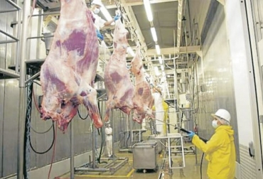 Para el gerente de Friogán, es necesario hacer un análisis sectorial para determinar cómo será la estrategia exportadora y evitar problemas como la escasez de animales. Foto: m.vanguardia.com Oferta ganado Colombia, exportaciones de carne 2021, exportaciones carne, exportaciones carne Colombia 2021, Exportación carne 2021, exportación de bovinos Colombia, Ganadería, ganadería colombia, exportación carne bovina, carne vacuna, economía internacional, comercio internacional, total exportaciones carne Colombia, ganaderos, ganaderos colombia, ganado, vacas, vacas Colombia, bovinos, ganado bovino, noticias ganaderas, noticias ganaderas colombia, CONtexto ganadero, contextoganadero