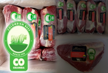 El Sello se constituye en la marca propia de un proceso de producción totalmente inocuo que refleja el manejo de buenas prácticas ganaderas basadas en el estricto respeto del bienestar animal, pero también, de la sanidad, del medio ambiente y, de su respectiva cadena de frío. Foto: Fedegán - eluniversal.com.co Sello de calidad carne colombiana, sello de calidad carne colombiana, “Colombian Beef -Grass Fed- CO”, exportaciones de carne, Colombia exporta a Chile carne premium con el sello carne ecológica, carne inocua, sello de identidad, sello de garantía y confianza, primer contenedor de carne bovina, carne natural, producción limpia, Athena Foods, Minerva, ingreso a las grandes ligas, Chile país clase A, ganadería Colombia, noticias de ganadería colombiana, CONtexto ganadero.