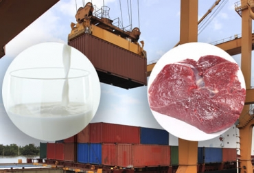 Ante la preocupación por las elevadas importaciones de leche en polvo y otros derivados, Fedegán propuso al Gobierno trabajar en equilibrar la balanza comercial elevando las exportaciones de carne y lácteos. Foto: freepik.es/freepik fedegan, TLC, EE. UU. Defensa Comercial, regularizar importaciones de leche, José Félix Lafaurie R, José Manuel Restrepo Abondano, MinCIT, exportaciones carne Estados Unidos, TLC Estados Unidos Colombia, importaciones leche en polvo Estados Unidos, importaciones leche en polvo Colombia, exportaciones carne Colombia Estados Unidos, ganaderos, ganaderos colombia, ganado, bovinos, ganado bovino, Ganadería, ganadería colombia, noticias ganaderas, noticias ganaderas colombia, CONtexto ganadero, contextoganadero