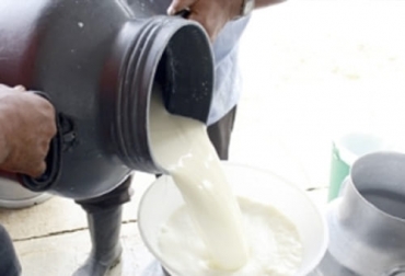 En febrero aumentó el número de litros de leche cruda acopiados con respecto al mismo mes del año anterior. Foto: agronet.gov.co acopio formal leche 2021, leche Colombia, compra leche, Acopio leche febrero 2021 Colombia, acopio febrero 2021, producción leche, Acopio formal leche Colombia 2021, Acopio formal leche, recolección de leche en Colombia, producción leche Colombia 2021, precio leche cruda Colombia 2021, precio pagado al productor 2021, ganaderos, ganaderos colombia, ganado, vacas, vacas Colombia, bovinos, ganado bovino, Ganadería, ganadería colombia, noticias ganaderas, noticias ganaderas colombia, CONtexto ganadero, context