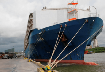 Empresas colombianas suplen las necesidades de demanda de bovinos en pie en los países del Oriente Medio. Foto: eluniversal.com.co Mañana zarpará barco con 13.000 toros bovinos hacía Egipto, animales vivos, novillos, toros, embarcaciones, buques, puerto de Cartagena, demanda internacional, demanda de Egipto, demanda del Líbano, países del oriente Medio, transacciones de animales, comercialización internacional de bovinos, proteína de origen animal, venta de proteína animal, noticias de ganadería colombiana, CONtexto ganadero.
