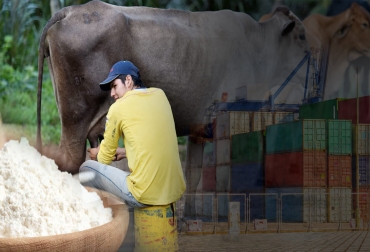 Según el análisis de Fedegán-FNG, las importaciones de leche en polvo y demás derivados han ocasionado un estancamiento en el precio y una pérdida de dinámica en el acopio, afectando a los productores de leche. Foto: freepik.es/dashu83 - blog.ciat.cgiar.org - reviewbox.com.mx Importaciones lácteos 2012-2021, importaciones leche Colombia, importaciones lácteos colombia 2012-2021, importaciones leche polvo Colombia 2021, importaciones lácteos colombia noticias, cifras importaciones lácteos colombia, importaciones leche colombia industria, importaciones de leche en polvo colombia, ganado bovino, ganadería bovina, leche, lechería, lácteos, ganaderos, ganaderos colombia, ganado, vacas, vacas Colombia, bovinos, Ganadería, ganadería colombia, noticias ganaderas, noticias ganaderas colo
