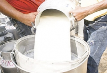 El informe indica que el precio real del litro de leche sin bonificación durante el último año ha crecido desde julio en la subregión colocándose por encima del nacional desde enero, y el de la región 2 desde agosto. Foto: agronet.gov.co