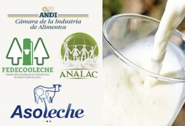 El impacto es profundo en cuatro frentes: va en contravía de las mejores prácticas tributarias, aumenta el precio de los alimentos (afectando a la población más vulnerable), promueve la informalidad, y favorece las importaciones frente a la producción nacional”, señala camilo Montes de la ANDI.Foto: asoleche.org - analac.org - fedecooleche.com - andi.com.co - totusnoticias.com Reforma tributaria, consumo de lácteos, régimen de exentos a excluidos, leche queso, reforma tributaria reduciría consumo de lácteos, reforma tributaria aumentaría precios al consumidor, reforma tributaria favorecería las importaciones, Asoleche, Analac, Fedecooleche, Cámara de Alimentos de la ANDI, Consejo Nacional Lácteo (CNL), reforma tributaria cambiaría de régimen de exentos a excluidos a la leche y el queso, proyecto de Ley de Solidaridad Sostenible, vacas, vacas Colombia, lechería, bovinos, ganadería