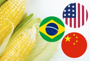 El precio del maíz internacional se ha visto influenciado por factores que involucran a estas tres potencias económicas. Foto: freepik.es/stockking - countryflags.com - pngkey.com Precio maíz 2021, precio maíz abril 2021, maíz, soya, carne de pollo, concentrados, alimentos balanceados, precio maíz Colombia, Costos de Producción, lechería, materias primas, USDA, estados unidos, Verano, demanda, dólar, mercados internacionales, ganaderos, ganaderos colombia, ganado, vacas, vacas Colombia, bovinos, Ganadería, ganadería colombia, noticias ganaderas, noticias ganaderas colombia, CONtexto ganadero, contextoganadero