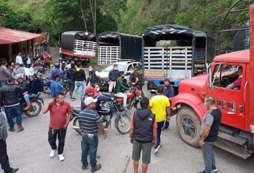 Las cifras muestran la grave crisis que se está presentando no solo en el sector ganadero, sino en todo el campo colombiano por cuenta del paro indefinido y los bloqueos de vías. Foto. La Gaceta Bloqueos de vía, ganadería, pérdidas en la ganadería, pérdidas en ganadería de leche, pérdidas en ganadería de carne, vacas, vacas Colombia, lechería, bovinos, ganadería bovina, ganadería bovina Colombia, noticias ganaderas, noticias ganaderas Colombia, contextoganadero