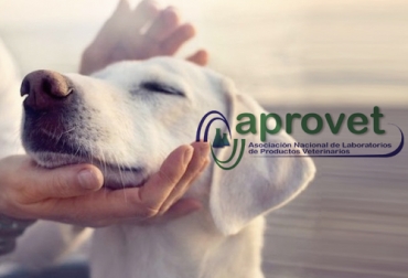 Foto: aprovet.com - milanuncios.com