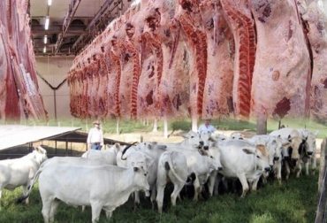 El reciente aumento del precio de la carne no se debe a un mayor pago a los ganaderos, pues no están recibiendo más ingresos por la venta de sus animales. Foto: m.vanguardia.com - ganadosycarnes.com precio de la carne, precio de la carne en Colombia, precio del ganado gordo en Colombia, precio carne Colombia 2021, precio carne Colombia, precio, carne, Colombia, ganado gordo, novillo gordo, frigoríficos Colombia 2021, ganaderos, ganaderos colombia, ganado, vacas, vacas Colombia, bovinos, ganado bovino, Ganadería, ganadería colombia, noticias ganaderas, noticias ganaderas colombia, CONtexto ganadero, contextoganadero