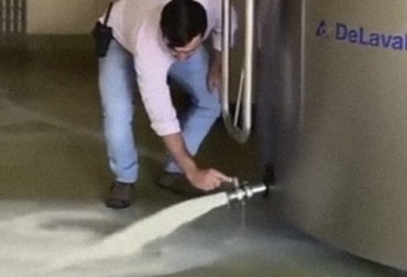 Los bloqueos de las vías del país están provocando que algunos ganaderos tengan que botar la leche porque no pueden ni regalarla. Foto: Captura de pantalla video Fedegán Ganaderos, agricultores, movilidad, vías, bloqueo, trabajo, pérdidas, Esmad, paro, Antioquia, Cauca, Valle, leche, cabezas de ganado, flores, vehículos, ganadería, ganadería Colombia, noticias ganaderas Colombia, contexto ganadero