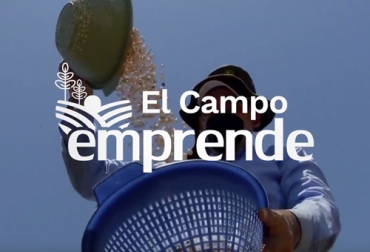 Un balance positivo entregó el Ministerio de Agricultura sobre el programa El Campo Emprende, con el cual se ha apoyado a más de 2.000 empresas rurales. Foto: Captura de pantalla del video https://www.youtube.com/watch?v=mc3yOS_T1AQ&t=10s del canal de youtube Ministerio de Agricultura y Desarrollo Rural MADR el campo emprende, Ministerio de Agricultura y Desarrollo Rural, cofinanciación, acompañamiento integral, emprendimientos, familias rurales, negocios, ingresos, empleos, Jóvenes Rurales, Proyectos productivos, relevo generacional, educación financiera, bancarización, comercialización, Ganadería, ganadería colombia, noticias ganaderas colombia, CONtexto ganadero