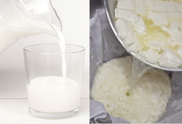 Con estos primeros resultados, el Invima estableció que el valor promedio de CMP en leche cruda en Colombia es de 24 μg/ml. Foto: vivesaludable.es - imagen creada por freepik / freepik.es Resultados lactosuero Invima, Invima leche lactosuero, Invima lactosuero, Leche mezclada con lactosueros y grasas, leche barata, lactosueros, leche mezclada con lactosuero, leche mezclada con grasa animal o vegetal, leche barata colombia, lactosueros para bajar precio de leche, prácticas para bajar precio de leche en Colombia, ganado bovino, ganadería bovina, ganaderos, ganaderos colombia, ganado, vacas, vacas Colombia, bovinos, Ganadería, ganadería colombia, noticias ganaderas, noticias ganaderas colombia