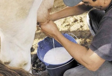 Foto: agriculturayganaderia.com