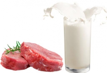 Los envíos de leche y derivados creció un 123,9 %, mientras que los de carne y despojos fue de 83,4 %. Foto: vistazo.com. Ganadería, ganadería colombia, noticias ganaderas, noticias ganaderas colombia, CONtexto ganadero, exportaciones, exportaciones de colombia, exportaciones de colombia en mayo, economía colombiana, exportaciones de carne en colombia, exportaciones de leche colombia, frutas colombia,