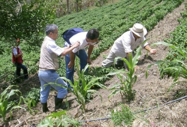 La forma como trabajan los extensionistas rurales después de la pandemia cambió y es importante adaptarse a las nuevas realidades para llegar con el mensaje a los productores. Foto: udea.edu.co Extensionista rural, Agrosavia, Nueva normalidad, Pandemia, COVID, decálogo, actividades, profundización, redes sociales, innovación, creatividad, ingenio, salud, manejo sanitario, desarrollo económico, social, toma de decisiones, conocimiento, agentes de cambio, holística, Ganadería, ganadería colombia, noticias ganaderas colombia, CONtexto ganadero