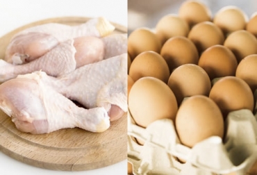 Una de las razones fue la pérdida de más de 12 millones de gallinas ponedoras a raíz de la parálisis del país en meses pasados. Foto: Freepik.es Ganadería, ganadería colombia, noticias ganaderas, noticias ganaderas colombia, CONtexto ganadero, precio del dólar, precio del dólar en colombia, precio del dólar julio 2021, pollo, Producción de Pollo, precio del pollo, precio del huevo
