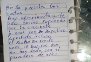 El mayor número de animales muertos se presentó en Ayapel con 200 reses en la vereda Pueblo Nuevo.