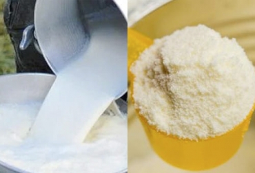 Mientras que el precio pagado al productor por la leche cruda fue uno de los más altos en junio (en promedio), los inventarios de leche en polvo se duplicaron en un mes. Foto: queseru.com - revistaindustria.com.mx Inventarios leche en polvo 2021, acopio leche 2021, Importaciones lácteos 2021, inventarios leche en polvo junio 2021, importaciones lácteos colombia 2021, importaciones leche polvo Colombia 2021, Inventarios leche en polvo Colombia, lácteos, ganado bovino, ganadería bovina, carne, leche, ganaderos, ganaderos colombia, ganado, vacas, vacas Colombia, bovinos, Ganadería, ganadería colombia, noticias ganaderas, noticias ganaderas colombia, CONtexto ganadero, contextoganadero