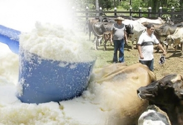 FEDEGAN que fue el único gremio que en el famoso cuarto de al lado de la negociación del TLC con EEUU levantó su voz en favor de los ganaderos. Foto: Fyrtex.com - extra.com.co Salvaguardia, Fedegán, leche, leche en polvo, leche de bovino, importaciones de leche en polvo, vacas, vacas Colombia, lechería, bovinos, ganadería bovina, ganadería bovina Colombia, noticias ganaderas, noticias ganaderas Colombia, contextoganadero