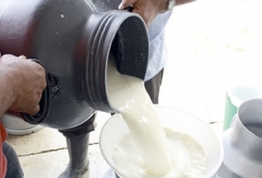 Dado que el acopio sigue sin repuntar desde los bloqueos en mayo y junio, Fedegán pide que se fortalezca la cadena de valor fortaleciendo la compra formal del líquido. Foto: agronet.gov.co Acopio 2021, Salvaguardia FEDEGAN, acopio formal leche 2021, leche Colombia, compra leche, producción leche, salvaguardia leche en polvo, recolección de leche en Colombia, producción leche Colombia 2021, precio leche cruda Colombia 2021, inventarios leche en polvo, ganado bovino, ganadería bovina, carne, leche, ganaderos, ganaderos colombia, ganado, vacas, vacas Colombia, bovinos, Ganadería, ganadería colombia, noticias ganaderas, noticias ganaderas colombia, CONtexto ganadero, contextoganadero