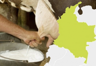 La crisis actual, más que la dificultad estructural del sector lechero, no es por falta de capital de trabajo ni de inversión, sino por falta de utilidad en el negocio. Foto: edairynews.com - tomtom.com crisis láctea, Soluciones crisis láctea, noreste antioqueño, pandemia, incremento costos de los insumos importados para alimentos balanceados, fertilizantes, droga veterinaria, paros y bloqueos ilegales, vacas, vacas Colombia, lechería, bovinos, ganadería bovina, ganadería bovina Colombia, noticias ganaderas, noticias ganaderas Colombia, contextoganadero