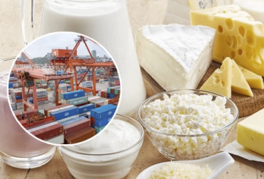 Aunque las exportaciones de lácteos son mucho menores a las importaciones, este año las primeras han tenido un crecimiento considerable frente al de años anteriores. Foto: isgar.vetmed.ufl.edu Exportaciones lácteos julio 2021, Exportaciones lácteos Colombia 2021, exportaciones leche en polvo Colombia 2021, Balanza comercial lácteos Colombia 2021, exportaciones leche polvo Colombia 2021, exportaciones leche 2021, total exportaciones leche Colombia, ganado bovino, ganadería bovina, carne, leche, ganaderos, ganaderos colombia, ganado, vacas, vacas Colombia, bovinos, Ganadería, ganadería colombia, noticias ganaderas, noticias ganaderas colombia, CONtexto ganadero, contextoganadero