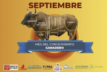 Durante el mes del conocimiento ganadero, que organiza el Comité de Ganaderos de Yopal, se mostró el trabajo que se viene haciendo para la producción de carne sostenible con miras a conquistar grandes mercados. Foto: facebook.com/crganaderosyopal carne, Yopal, Comité de Ganaderos, Cámara de Comercio, Usaid, marca, mercado, producción sostenible, transformación, Orinoquía, consumidor, Orinoco Green Beef, clúster, conservación, ecosistemas, Programa Riqueza Natural, valor agregado, modelo de negocio, comercialización, integración, proveeduría, factibilidad, sello, rentabilidad, Cortes de carne, practicas sostenibles, nutrición, Bienestar Animal, calidad, Trazabilidad, Ganadería, ganadería colombia, noticias ganaderas colombia, CONtexto ganadero