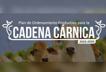La cadena cárnica bovina avanza rápidamente hacia la conformación del plan de ordenamiento productivo que determina su horizonte para los próximos años y que debe estar listo a finales de este año. Foto: upra.gov.co UPRA, plan de ordenamiento productivo, Cadena Cárnica Bovina, mes del conocimiento ganadero, Comité de Ganaderos, Yopal, Casanare, proceso, análisis situacional, linea base, análisis prospectivo, socialización, resultados, lineamientos de política, resolución, Ministerio de Agricultura, plan de acción, análisis cuantitativo, modelaciones económicas, mercado, Proyecciones, oferta, demanda, validación, grupo base, grupo ampliado, planes maestros, reconversión, territorios, productividad, Competitividad, Ganad