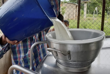 En 2021 la cantidad de litros de leche acopiados formalmente se mantiene baja aun cuando ya no se presentan problemas como los bloqueos que incidieron en gran medida en esta caída. Foto: ennuestrocampo.co Acopio 2021, acopio formal leche 2021, leche Colombia, compra leche, Acopio leche agosto 2021 Colombia, producción leche, Acopio formal leche Colombia 2021, recolección de leche en Colombia, producción leche Colombia 2021, precio leche cruda Colombia 2021, precio pagado al productor 2021, ganado bovino, ganadería bovina, carne, leche, ganaderos, ganaderos colombia, ganado, vacas, vacas Colombia, bovinos, Ganadería, ganadería colombia, noticias ganaderas, noticias ganaderas colombia, CONtexto ganadero
